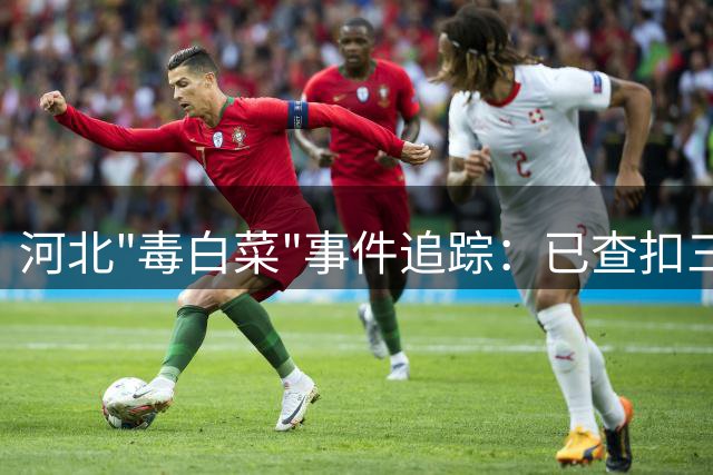 河北"毒白菜"事件追踪：已查扣三车问题蔬菜，非法添加内幕触目惊心